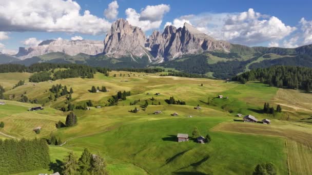 意大利南蒂罗尔Trentino Alto Adige的Alpe Siusi或Seiser Alm Dolomites Alps Sassolungo和Sassopiatto山的空中景观 — 图库视频影像