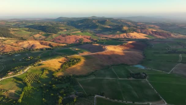 Tuscany Aerial Landscape Flying Vineyards Olive Fields Traditional Houses Italy — Stock Video