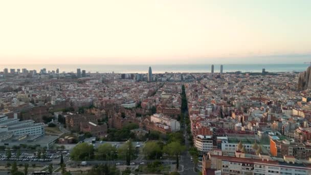 Αεροφωτογραφία Του Ορίζοντα Της Πόλης Της Βαρκελώνης Ξημέρωμα Καταλονία Ισπανία — Αρχείο Βίντεο