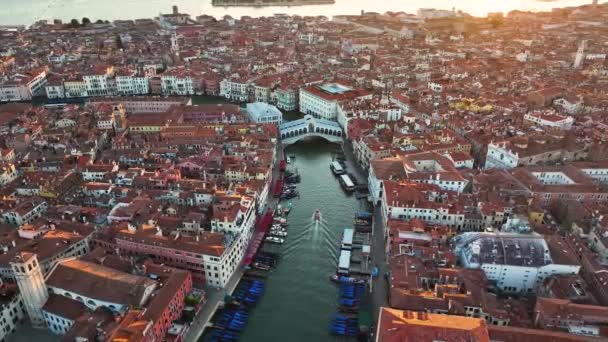 Venice Rialto Bridge Crossing Grand Canal Sunrise Golden Hour Venetian — Stock Video