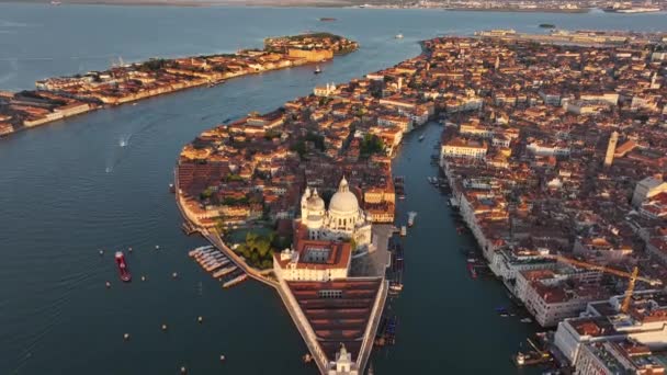 Venecia Histórica Desde Arriba Captura Del Gran Canal Basilica Santa — Vídeo de stock