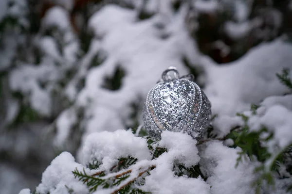 Pokryta Śniegiem Świąteczna Piłka Drzewie Srebrna Kula Świecąca Dekoracja Świąteczna — Zdjęcie stockowe