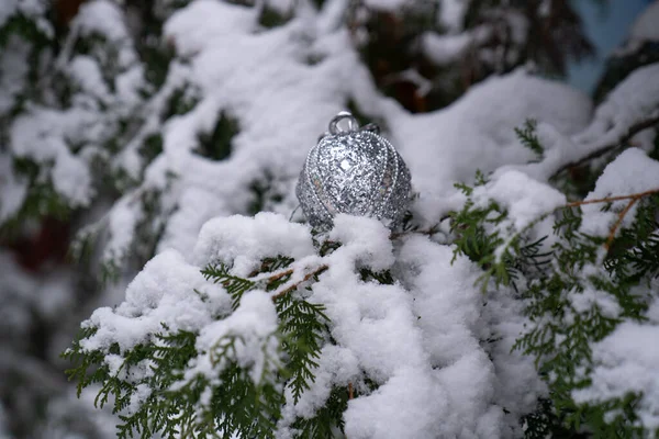 크리스마스 나무에 눈덮인 이걸려 구렁텅이 장식을 있습니다 숲에서 브런치 — 스톡 사진