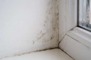 Eski kirli pencere, pencere pervazında siyah küf, ev hasarı, küf, evde yüksek nem, evde temizlik.