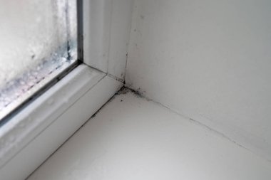 Eski kirli pencere, pencere pervazında siyah küf, ev hasarı, küf, evde yüksek nem, evde temizlik.