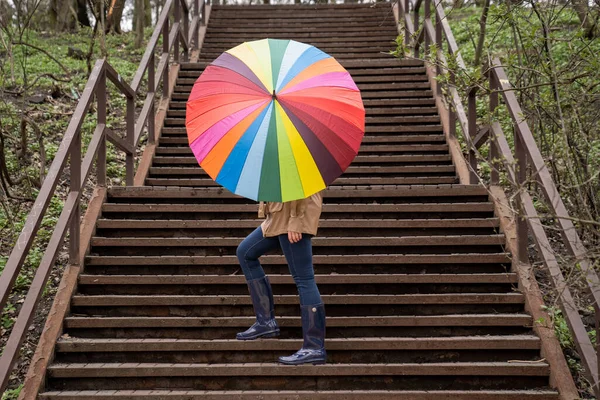ベージュのコートと雨のブーツの若い女性は 森や公園に立って カラフルな明るい虹の傘を保持しています 都市の秋の天気 女の子は公園の木製の階段を歩いています ハイステイウェイ — ストック写真