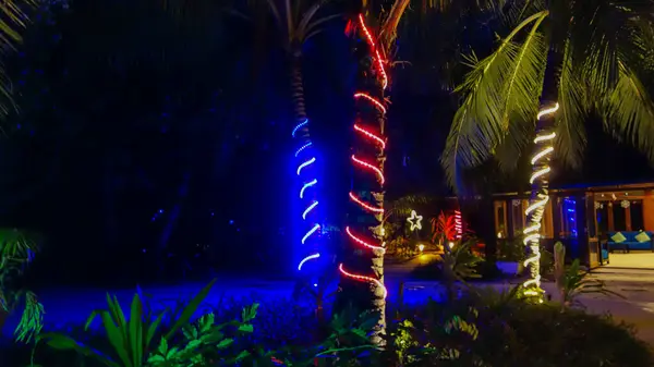 neon lights in the park. Trees decorated with garland, night illumination of resort