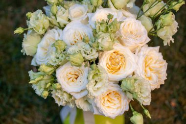 Yumuşak fildişinden yapılmış zarif bir düğün buketi ve narin yeşil tomurcuklu pastel şeftali gülleri. İki altın alyans ortadaki gülün üzerinde duruyor, aşkı ve bağlılığı simgeliyor. Düğün davetiyeleri, romantik geçmişleri ya da evlilik temalı tasarımlar için mükemmel. 