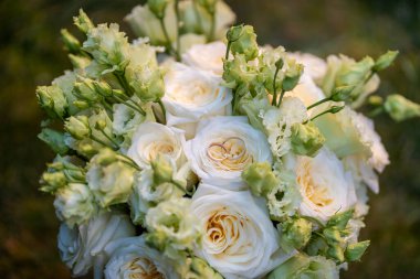 Yumuşak fildişinden yapılmış zarif bir düğün buketi ve narin yeşil tomurcuklu pastel şeftali gülleri. İki altın alyans ortadaki gülün üzerinde duruyor, aşkı ve bağlılığı simgeliyor. Düğün davetiyeleri, romantik geçmişleri ya da evlilik temalı tasarımlar için mükemmel. 