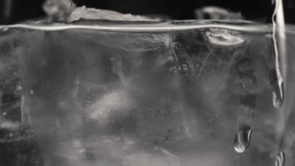 Detailní Záběr Kostek Ledu Malé Skleničce Led Průhledném Skle Voda — Stock video