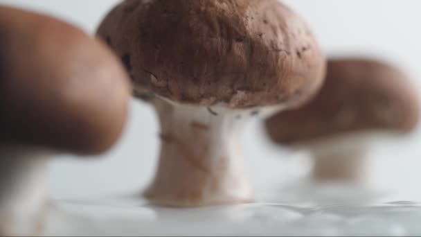 没有剥皮的 新鲜的 白色背景的蘑菇螺母 — 图库视频影像