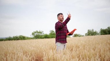 Caucasian farmer in a large wheat field examining the crop and writing down data under the blue sky. Rural worker, analyzing the quality of the terrain and the growth of the cereal plantation