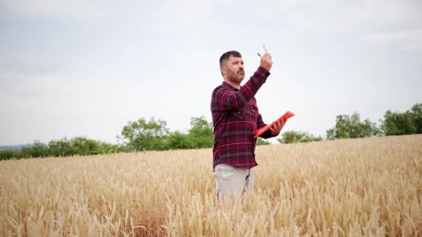 Agricultor Caucasiano Grande Campo Trigo Examinando Cultura Escrevendo Dados Sob — Vídeo de Stock