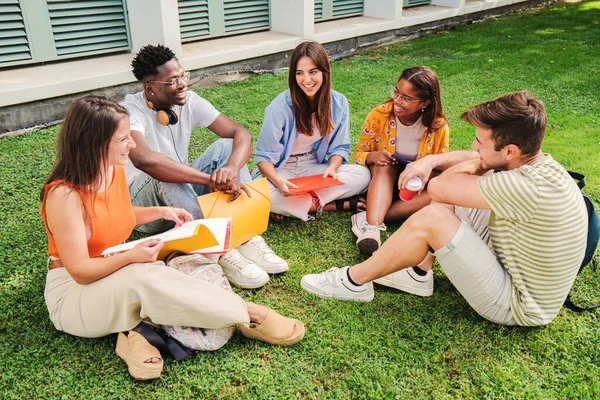 Bir grup çok ırklı genç öğrenci bahçede oturmuş üniversite kampüsünde birlikte konuşuyor ve gülümsüyorlar. Üniversiteli genç arkadaşlar çimlerin üzerinde uyukluyor ve tüy döküyorlar. Eğitim konsepti. Yüksek kalite