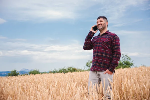 Zralý Farmář Usmívá Sklizňové Pšenici Volá Smartphone Šťastný Kavkazský Kovboj — Stock fotografie