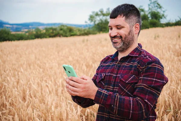 Šťastný Dospělý Farmář Používající Mobilní Zařízení Pšenici Kavkazský Kovboj Procházení — Stock fotografie