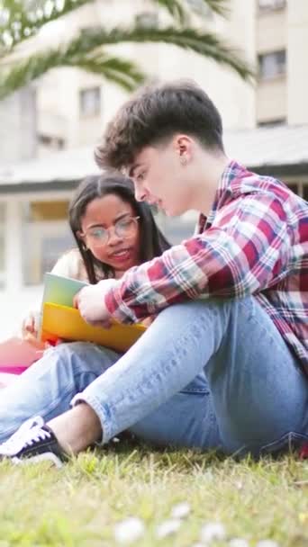 Lise Ödevlerini Yapan Dört Genç Öğrencinin Dikey Portresi Birlikte Üniversite — Stok video