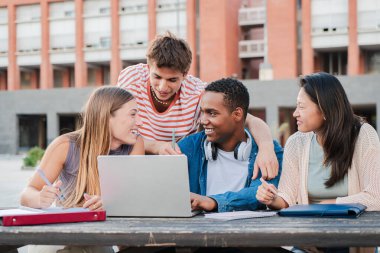 Dizüstü bilgisayar kullanan, üniversite kampüsünde ödev projesi üzerinde çalışan çok ırklı, mutlu bir grup genç öğrenci. Bilgisayarda bilgi arayan çeşitli genç sınıf arkadaşlarıyla toplantı