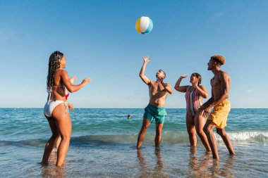 Bir grup genç çok ırklı arkadaş sahilde eğleniyor, şişme bir topla denizde oynuyor ve sahilde yaz tatilinin tadını çıkarıyorlar. Mutlu turistler kıyıda iyi vakit geçiriyorlar.