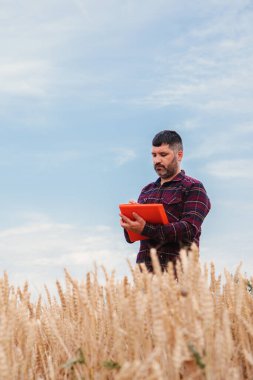 Büyük bir buğday tarlasında dikey Kafkas çiftçisi mavi gökyüzünün altına verileri yazıyor ve ekinleri inceliyor. Kırsal işçiler, arazinin kalitesini ve mısır gevreği tarlasının büyümesini analiz ediyorlar.