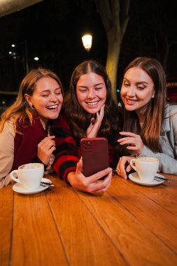 Dikey. Akşamları terasta oturan kızlar akıllı telefon kullanarak eğleniyorlar. İnternette cep telefonuyla gezinen bir grup genç kadın. Sosyal medyada cep telefonuyla paylaşılan kadınlar