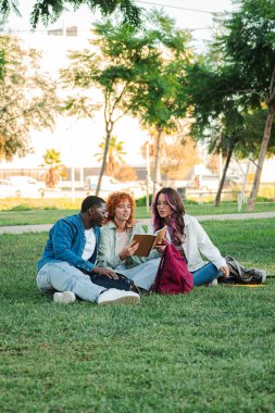 Parkta birlikte eğlenen, gülümseyen ve kitap paylaşan, üniversite kampüsünün çimlerinde oturan, ders çalışan ve arkadaşlığını sürdüren dikey bir grup genç öğrenci. Yüksek