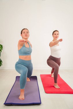 Güç ve dengeyi ön plana çıkaran yoga egzersizlerine katılan iki kararlı dişi rahatlama ve farkındalığı desteklerken, spor ve genel sağlığa olan bağlılıklarını odaklanmış bir şekilde gösteriyorlar.