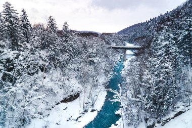 Biei blue river screen on winter. Bridge among white forest in morning. Hokkaido, Japan.