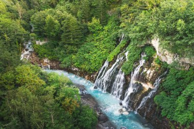 Beautiful nature scenery Shirahige waterfall biei river in summer. Biei Hokkaido japan.