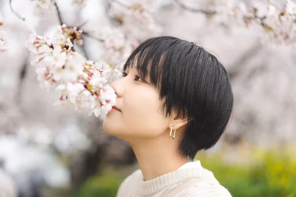 桜の木を見て若い大人の日本人観光客の女性のサイドビューの肖像画 3月と4月の日本の旅行シーズン花見祭り文化 — ストック写真