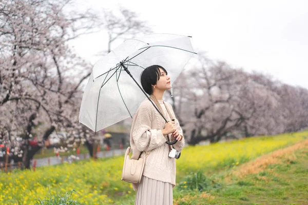 日本の春には桜と雨の日 傘を使っている若い大人の日本人女性 自然の中でアウトドアライフスタイル旅行 — ストック写真
