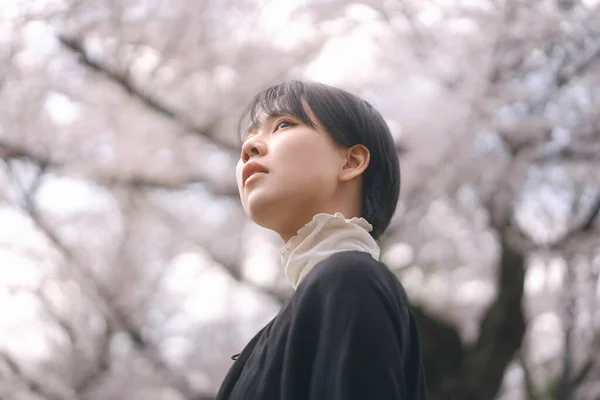 Porträt Schöne Japanerin Mit Kurzen Haaren Sakura Baum Hintergrund Entspannung — Stockfoto