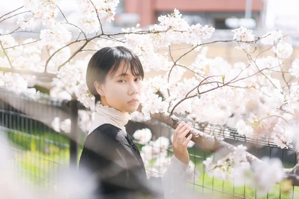 Kısa Saçlı Güzel Japon Kadın Portresi Sakura Ağacı Arka Planı — Stok fotoğraf