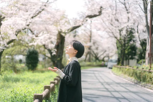 Ritratto Bella Donna Giapponese Con Capelli Corti Sfondo Albero Sakura — Foto Stock
