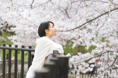 Yan manzara portresi. Kısa saçlı güzel Japon kadın. Sakura çiçek ağacı arka planı. Çiçeksel doğa yaşam tarzlarında rahatla. Japonya 'da bahar tatillerinde seyahat.