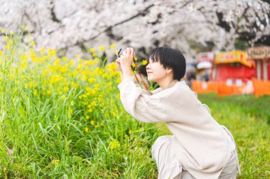 Yan manzaralı genç Japon kadın Sakura kiraz ağacını geziyor. Kamerayla hayat tarzını gezin. Hanami festivali Mart ve Nisan aylarında Japonya 'da.