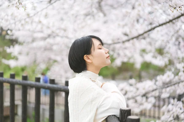 Красивая Японская Женщина Короткими Волосами Цветочный Фон Сакуры Расслабьтесь Цветочных — стоковое фото