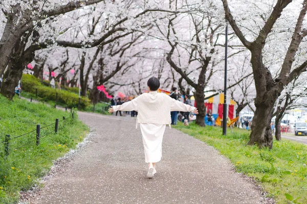 Вид Сзади Японскую Женщину Гуляющую Природном Парке Сакурой Цветущей Цветущим — стоковое фото