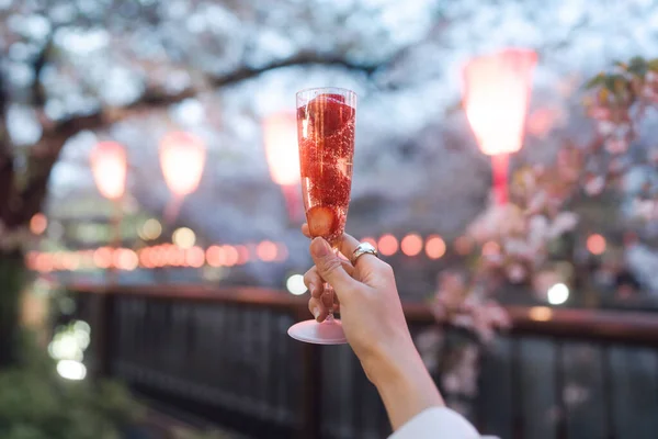 Japón Tokio Ciudad Nakameguro Sakura Matsuri Festival Famoso Destino Primer —  Fotos de Stock