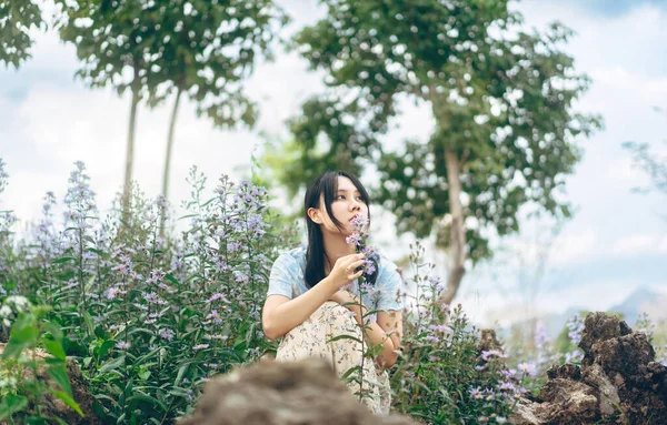 Doğa Konseptinde Doğa Seyahati Genç Asyalı Bir Kadınla Dağ Vadisinin — Stok fotoğraf