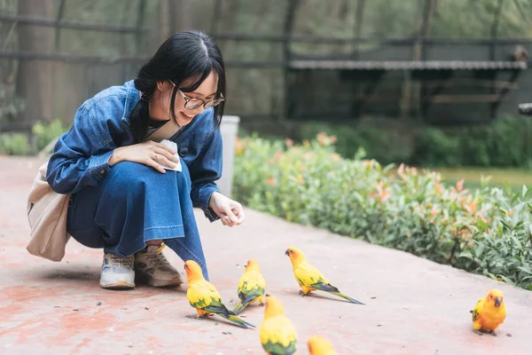 Çiftlik Arazisindeki Hayvanat Bahçesinde Gezgin Genç Asyalı Kadın Güneşi Besliyor — Stok fotoğraf