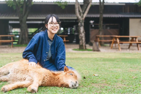 農地動物園での旅行者 若い大人のアジアの女性は屋外で赤ちゃんの馬を果たしている 動物との休日の活動はリラックスしてください 青いジーンズを着る人 — ストック写真