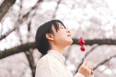 Japan tasty travel with sakura cherry blossom tree spring festival. Side view young adult asian woman eye closed. Eating japanese style street food strawberry candy.  clipart
