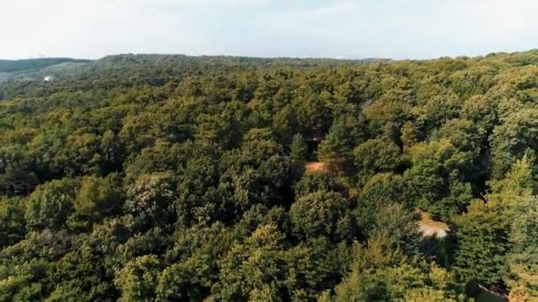 Vista Aérea Del Bosque Épica Vista Aérea Del Paisaje Forestal — Vídeo de stock