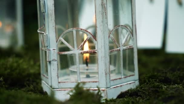 Antica Lampada Candela Sopra Muschio — Video Stock