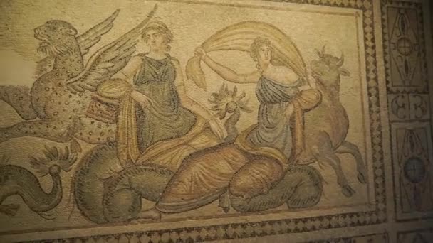 Muzeum Mozaiki Zeugma Jedna Największych Świecie Kolekcji Mozaiki Starożytne Miasto — Wideo stockowe
