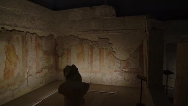 Zeugma Mozaik Múzeum Világ Egyik Legnagyobb Mozaik Gyűjteménye Zeugma Ősi — Stock videók