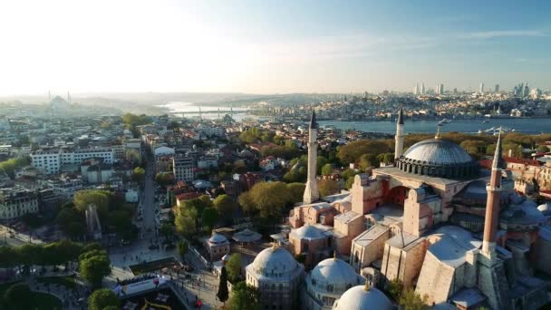 Ayasofya Hagia Sophia Flygfoto Med Drönare Från Istanbul — Stockvideo
