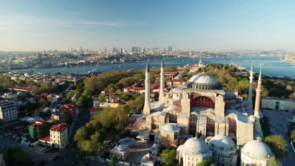 Ayasofya Hagia Sophia Widok Lotu Ptaka Istambułu — Wideo stockowe