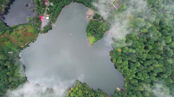 Légi Felvétel Karagol Tájképéről Borcka Felhők Között Artvin Ban — Stock videók